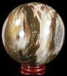 Colorful Petrified Wood Sphere #49777-1